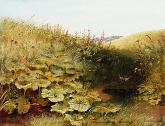 Ein ruhiges Tal